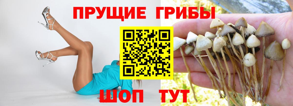Галлюциногенные грибы прущие грибы  Вход с VPN  Городец 